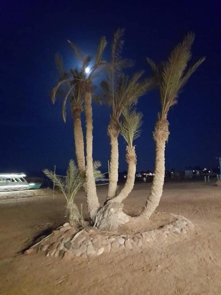 Hotel Nuweiba Oasis Zewnętrze zdjęcie